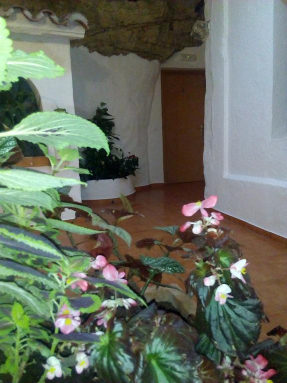 Hostal Batato Vejer de la Frontera Eksteriør billede