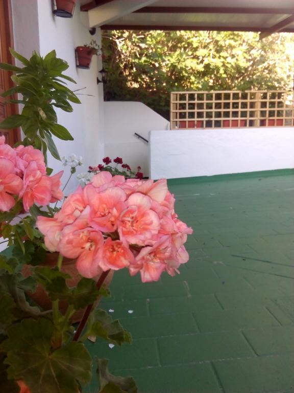Hostal Batato Vejer de la Frontera Eksteriør billede