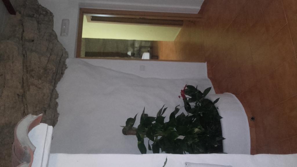 Hostal Batato Vejer de la Frontera Eksteriør billede