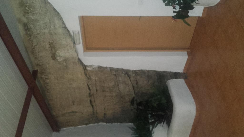 Hostal Batato Vejer de la Frontera Eksteriør billede